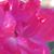 Pat Toler's profile image