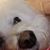 Carol Ann Mayborg's profile image