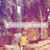 Celina Rajkumar's profile image
