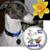 Angela Martin Travis's profile image