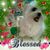 Cheryll Campbell's profile image