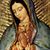 Patty Hernandez's profile image