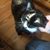 Gerry Sweeney DeCesare's profile image