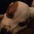 Jessie Norcross's profile image