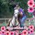 Betsy Giddens's profile image