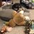 Stephanie Fligelman's profile image