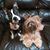 Shirley Monnin's profile image
