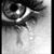 Melinda Arnold Fitzgibbon's profile image