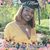 Joy Gibbs's profile image