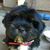 Pufy Carduran's profile image