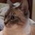 Shirley McKnight's profile image