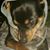 Donna Medlin's profile image
