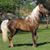 Missy Hinson's profile image