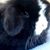 Sue Furtaw's profile image