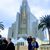 Gina D. Focosi's profile image