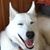 Ann Federspiel Sermersheim's profile image