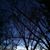Rachael Bochicchio's profile image