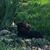 Pamela Whitt's profile image