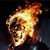 Shawn Reed's profile image