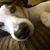 Lori Malter Curtis's profile image