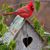 Debbie Weaver Edenton's profile image
