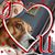 Randy Gallo's profile image