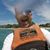 Tom R. Williams's profile image