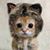 Ellen Gomez Fassbender's profile image