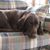 Colleen Weimer's profile image