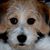 Colleen Chase's profile image