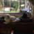 Kellie Kaser's profile image