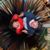 Jon Alexander Stephenson's profile image