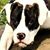 Steve Taylor's profile image