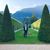 Domenico Tomas's profile image