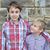 Christina Bontempo Vingsen's profile image
