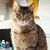 Judy Cramer's profile image