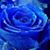 RJ Maxwell's profile image
