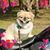 Jose Rodriguez's profile image
