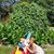 Marge Geffre's profile image