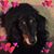 Robert Townsend's profile image