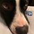 Shannon Scott's profile image