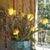 Katherine Williams's profile image