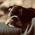 Barbara Foland-Backus's profile image