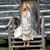 Kyla Olson's profile image