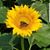 Doris Clement's profile image