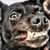 Shelly Schulenburg's profile image