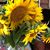 Cathy Greer's profile image