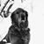 Amy Verheyen Gardner's profile image
