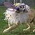 Jennifer J. Ison's profile image