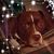 Buffy Hughes's profile image